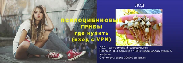 ALPHA-PVP Дмитриев
