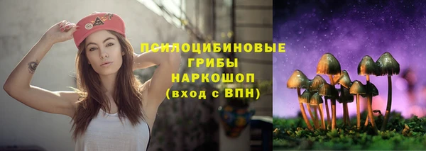 ALPHA-PVP Дмитриев