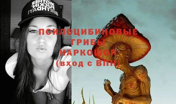 каннабис Дмитров
