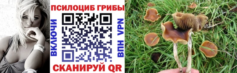 Галлюциногенные грибы Magic Shrooms  наркотики  Альметьевск 