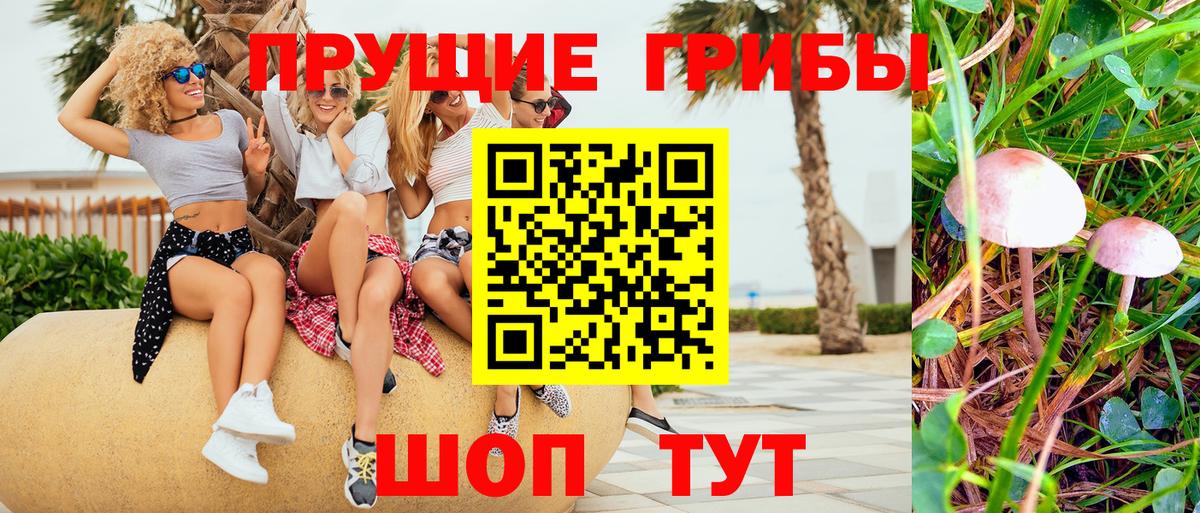 Альметьевск  Псилоцибиновые грибы мицелий  Вход с VPN 